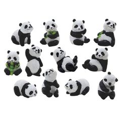 a bunch of stuffed panda bears sitting next to each other on a white background,