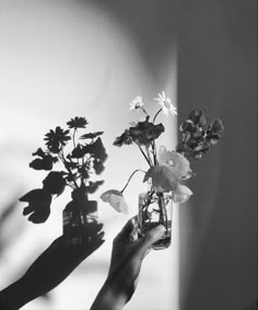 black and white photograph of person holding flowers in glass vase with sunlight coming through window