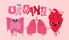 three heart shaped organes with the words, the organe