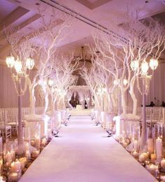 the aisle is lined with candles and trees