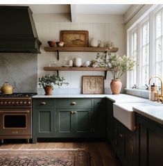 a kitchen with green cabinets and white counter tops is pictured in this image, there are plants on the shelves above the stove