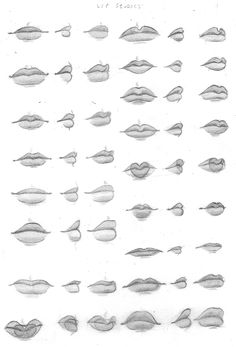 a bunch of different shapes and sizes of lips