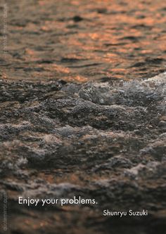 a bird is standing in the water at sunset