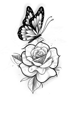 a black and white drawing of a rose with a butterfly on it's wing