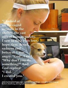 I created you . . . Veterinarian Quotes Inspiration, Veterinarian Inspiration, Veterinarian Quotes, Rescue Quotes, Veterinary Nursing, Future Veterinarian