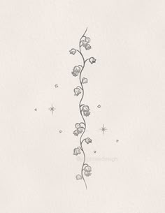 a drawing of a vine with flowers on it's end and stars in the background