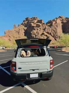 two dogs sitting in the back of a car with its trunk open and head out