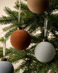 three ornaments are hanging from a christmas tree