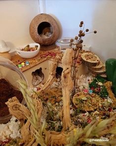 a bunch of items that are sitting on the ground in front of some plants and bowls