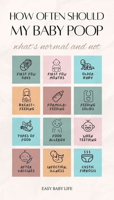 how often should my baby poop be? info from the mom's guide