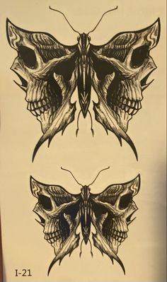 two drawings of moths, one is black and the other is white