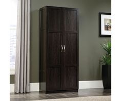 a tall wooden cabinet with two doors in a living room next to a potted plant