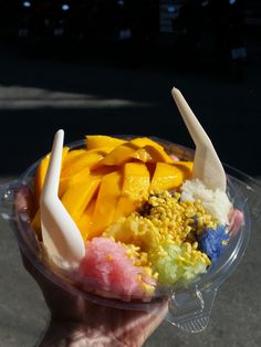 a person holding a plastic container filled with different types of food