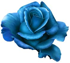 a blue rose is shown on a white background