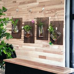 three hanging glass vases filled with plants on a wooden wall next to a planter