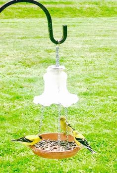 two birds are sitting on a bird feeder in the grass, one is yellow and the other is black