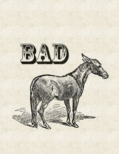 a drawing of a horse with the word bad on it's back and an image of a dog standing next to it