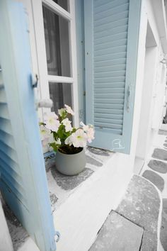 a potted plant sitting on the window sill in front of a blue shutter