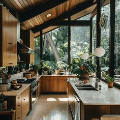 a kitchen with wooden cabinets and an island in front of the counter top is filled with potted plants