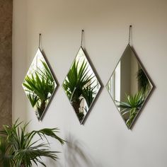 three mirrors hanging on the wall with plants in them and one has a potted plant