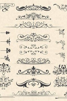 a set of ornate design elements