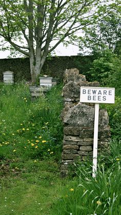 there is a sign that says beware of bees in front of some grass and flowers