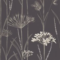 a black and white photo of flowers on a dark background