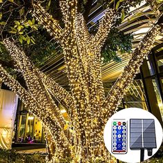 an outdoor tree with lights and remote control