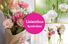 Collage of lisianthus flowers. Lisianthus Flower, Summer Garden Flowers, Flower Symbolism, Delicate Flowers, Garden Flowers