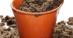 a pot filled with dirt sitting on top of a pile of dirt