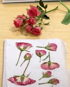 some pink roses are sitting on a table next to a piece of paper with the same design