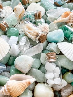 sea glass and shells are scattered together on the beach, including one bottle filled with them