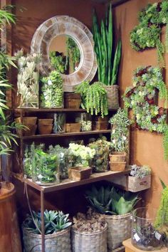 a room filled with lots of potted plants and greenery on top of shelves