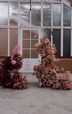 three different types of flowers in front of a building with large windows and white trim