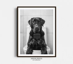 a black and white photo of a dog sitting on a toilet looking at a tablet