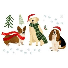 three dogs wearing christmas hats and scarfs in front of a tree with paw prints