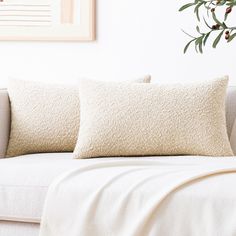 two pillows sitting on top of a white couch next to a plant in a living room