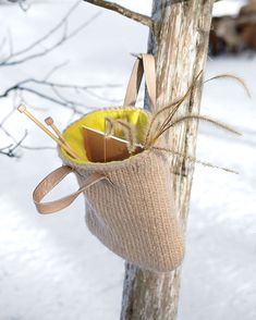 a bag hanging from a tree in the snow with some knitting needles sticking out of it