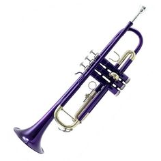 an image of a purple trumpet on a white background with clippings to the side