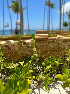 two wicker baskets sitting on top of green plants next to the ocean with palm trees in the background