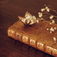 a butterfly sitting on top of an old book