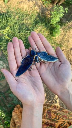 a hand holding a blue insect in it's palm