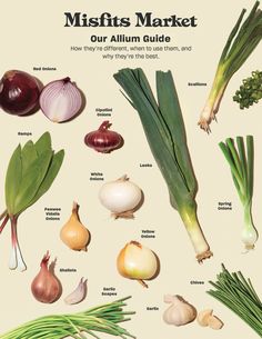 an illustrated guide to misfits market, including onions, garlic and broccoli