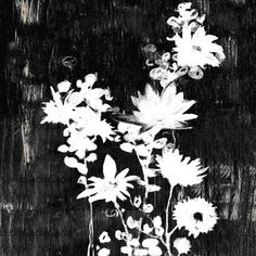 black and white photograph of flowers in vase on wooden table with grungy background