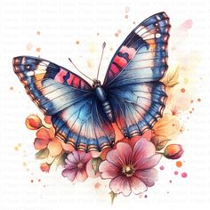 watercolor painting of a blue butterfly with pink and red flowers on it's wings