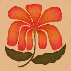 an orange flower with green leaves on a beige background in color pencil and watercolor