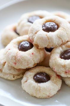 a white plate topped with cookies covered in chocolate