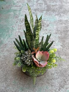 a potted plant with succulents and other plants in it on the ground