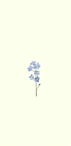 a single blue flower is in the middle of a white background with an empty space for text