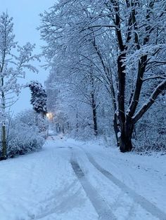 a snow covered road with trees on both sides and street lights at the end in the distance